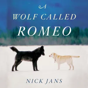 A Wolf Called Romeo Audio CD  MP3 Audio, October 26, 2021